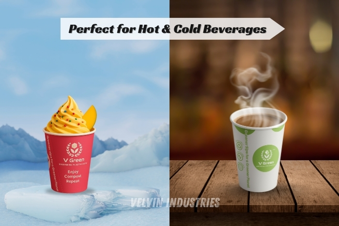 Eco-friendly cup solution manufactured in Tamil Nadu for sustainable food and drink service by VELVIN INDUSTRIES